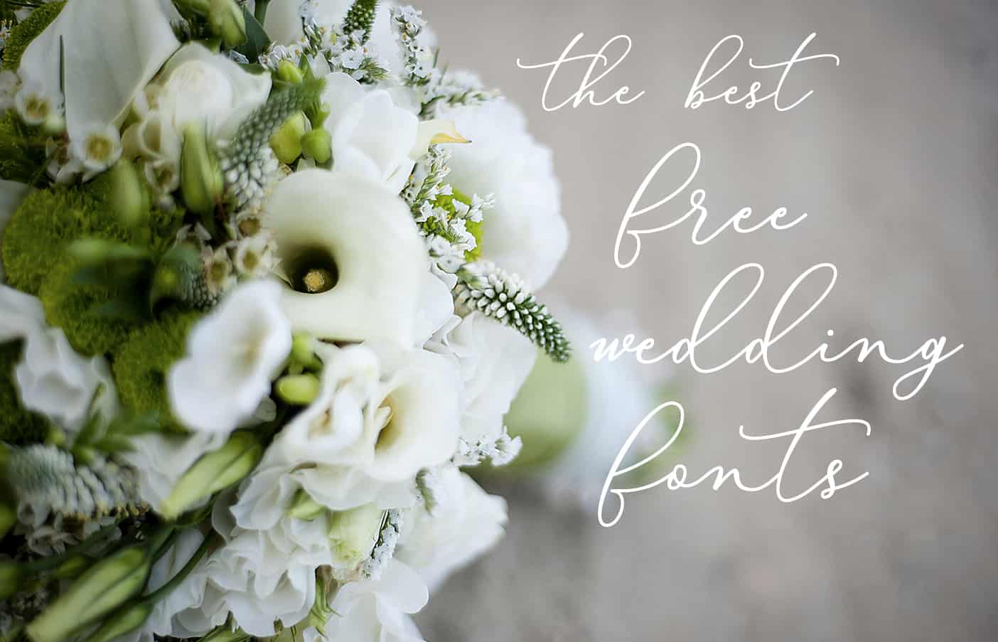 the best free wedding fonts - Eyestigmatic Design