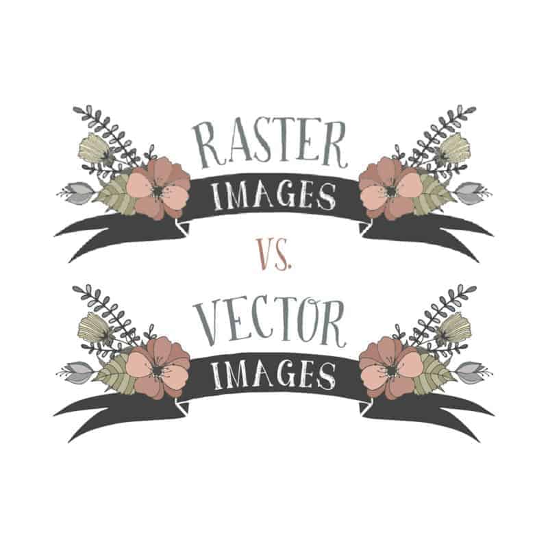 Raster vs Vector – What’s the Difference?