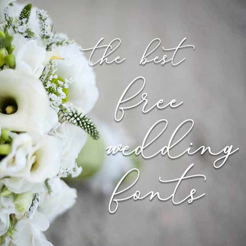 Where to Find the Best Free Wedding Fonts